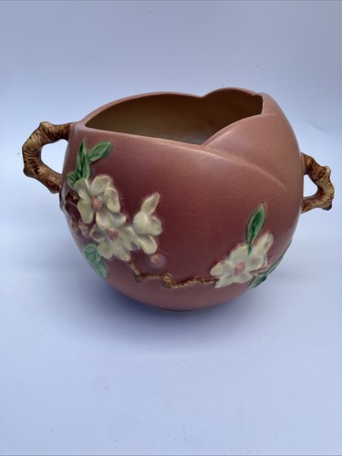 Roseville apple blossom - apple,